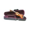 archi top brand - vicini galleria musicale - frosinone - shop online