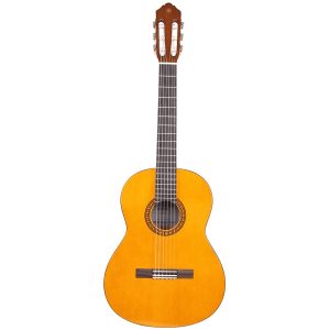 chitarra classica top brand - vicini galleria musicale - frosinone - shop online