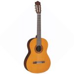 chitarra classica top brand - vicini galleria musicale - frosinone - shop online