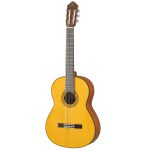 chitarra classica top brand - vicini galleria musicale - frosinone - shop online