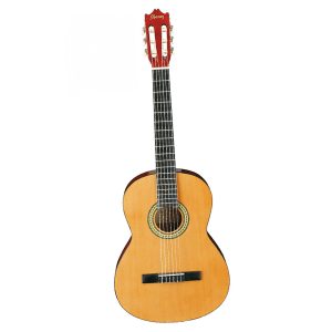 ibanez chitarra classica top brand - vicini galleria musicale - frosinone - shop online