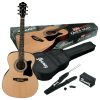 ibanez chitarra acustica top brand - vicini galleria musicale - frosinone - shop online