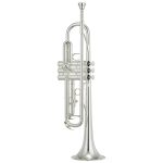 strumento a fiato top brand - vicini galleria musicale - frosinone - shop online