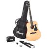 ibanez chitarra acustica top brand - vicini galleria musicale - frosinone - shop online