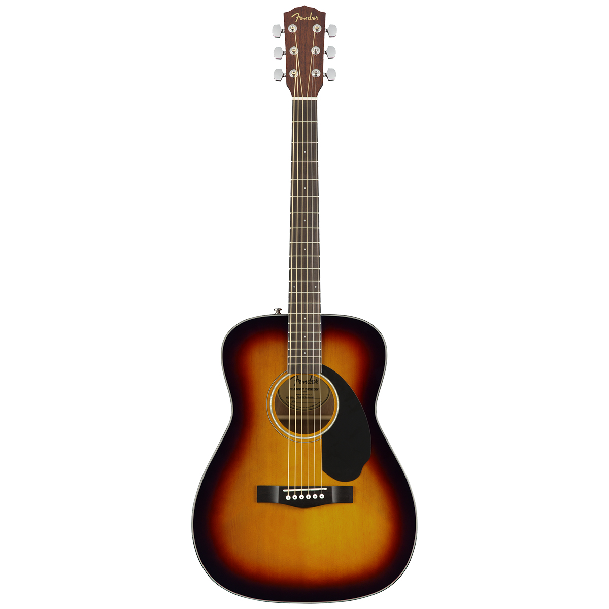 fender chitarra acustica top brand - vicini galleria musicale - frosinone - shop online