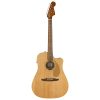 fender chitarra acustica top brand - vicini galleria musicale - frosinone - shop online