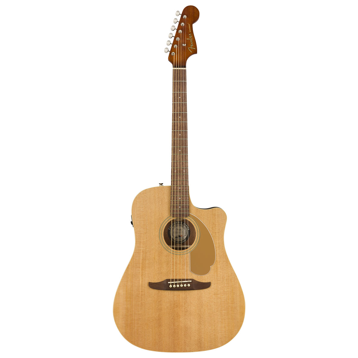 fender chitarra acustica top brand - vicini galleria musicale - frosinone - shop online