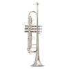 strumento a fiato top brand - vicini galleria musicale - frosinone - shop online