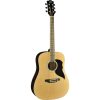 eko chitarra acustica top brand - vicini galleria musicale - frosinone - shop online