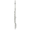 strumento a fiato top brand - vicini galleria musicale - frosinone - shop online