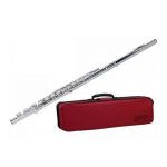 strumento a fiato top brand - vicini galleria musicale - frosinone - shop online