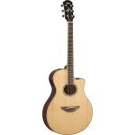 chitarra acustica top brand - vicini galleria musicale - frosinone - shop online