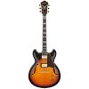 ibanez chitarra elettrica top brand - vicini galleria musicale - frosinone - shop online