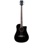 EKO NXT B100e See Through Black
