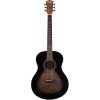 WSBTS9CH chitarra acustica top brand - vicini galleria musicale - frosinone - shop online