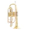 strumento a fiato RB701090 top brand - vicini galleria musicale - frosinone - shop online