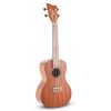 gewa ukulele top brand - vicini galleria musicale - frosinone - shop online