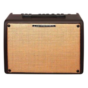 IBANEZ T30II U Combo Transistor Per Chitarra Acustica