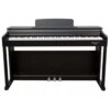 ECHORD DPX100 Satin Black