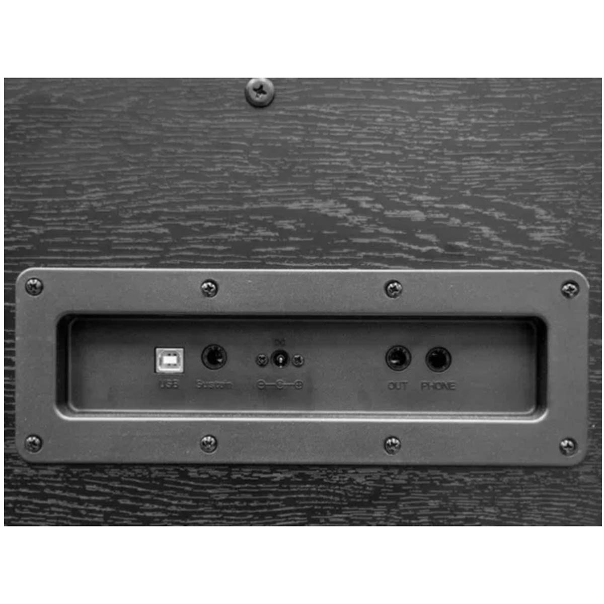 ECHORD-DPX100-Satin-Black-collegamenti