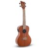 GEWA Concert Ukulele Manoa Kaleo K-CO-E