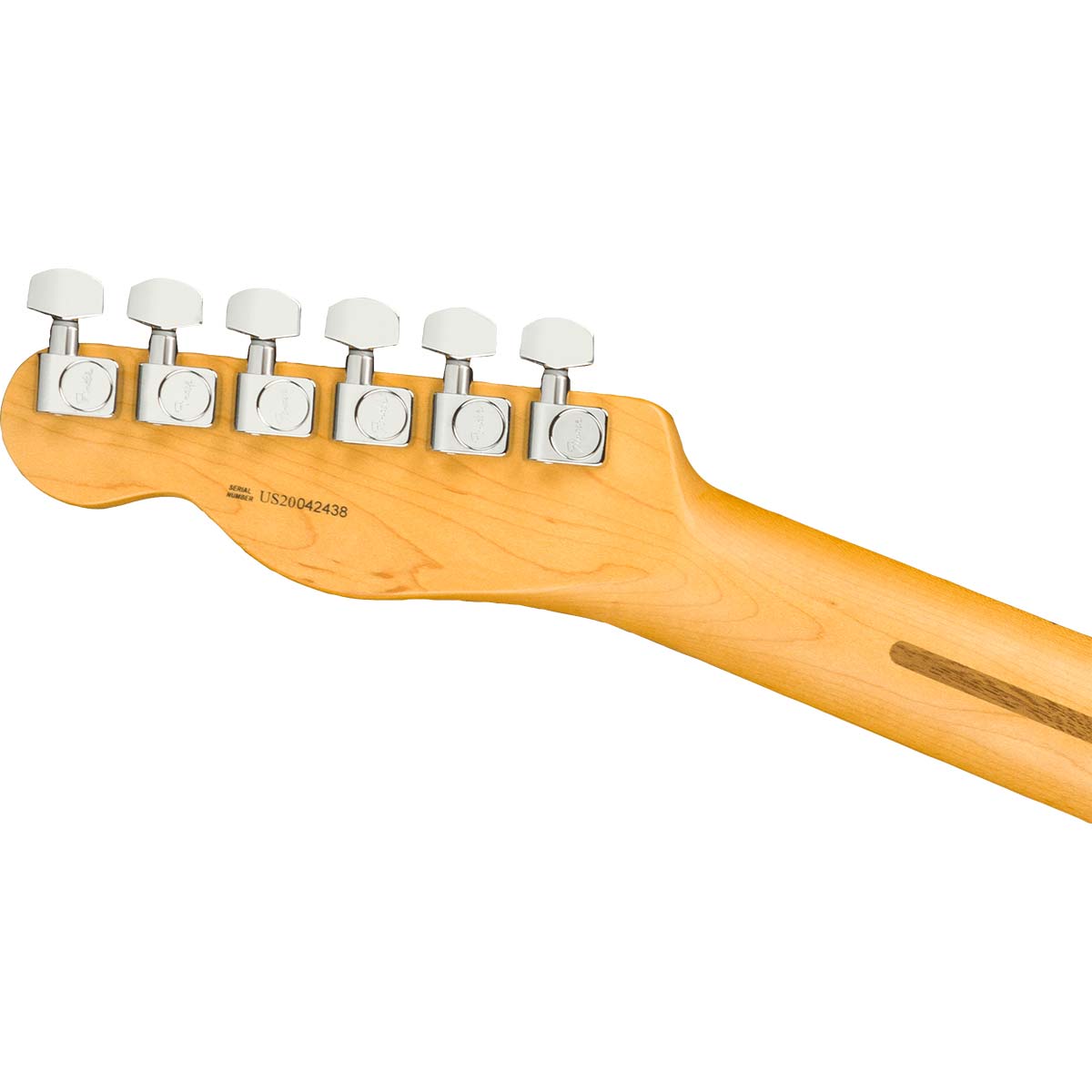 FENDER-American-Professional-II-Telecaster-paletta-back