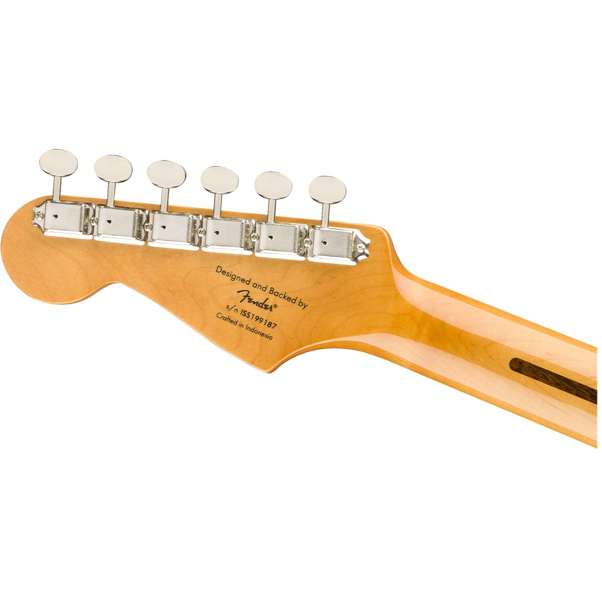 FENDER-Squier-Classic-Vibe-50s-paletta-back