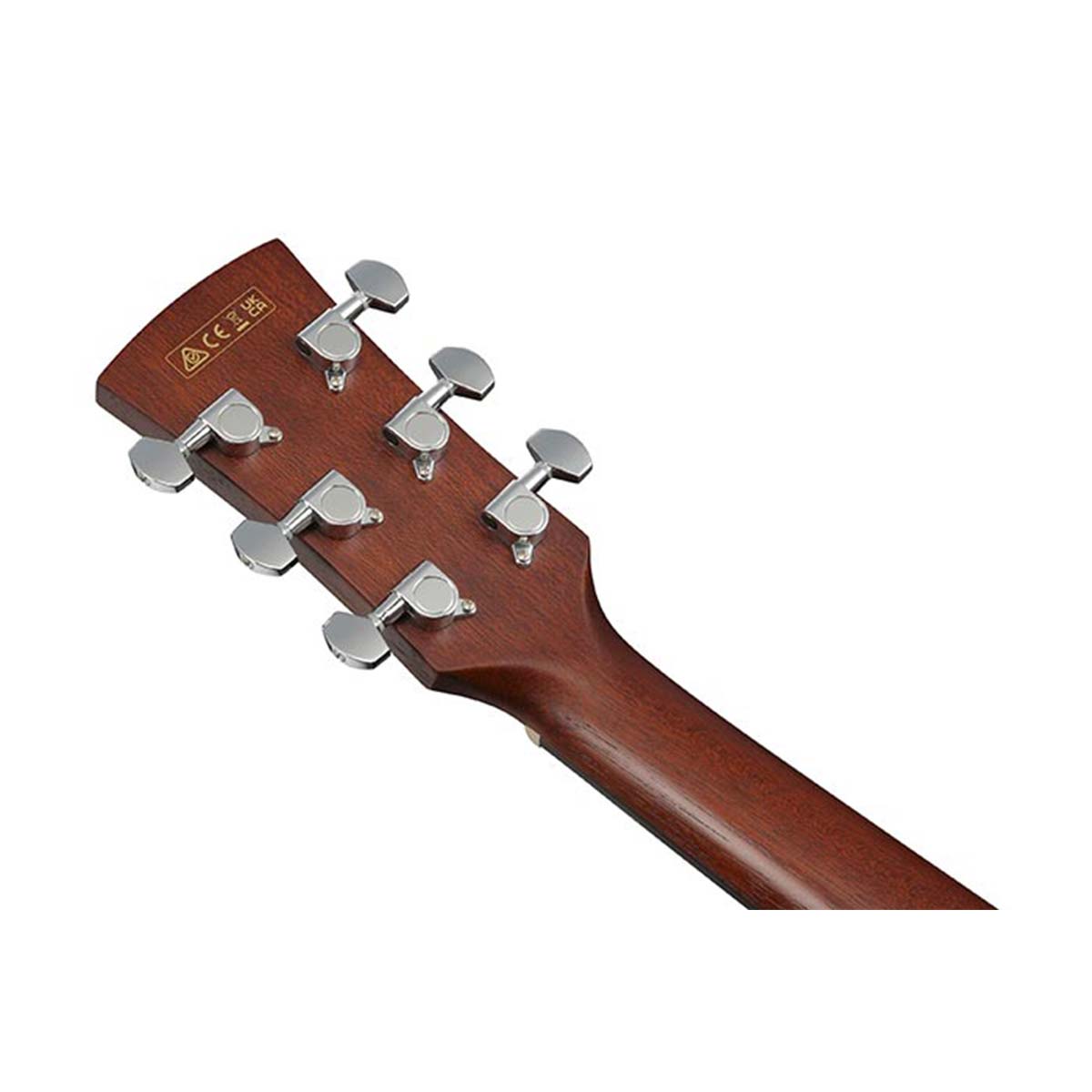 IBANEZ-PJ50E-OAH-paletta-back