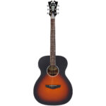 D'ANGELICO Premier Tammany LS Satin Vintage Sunburst